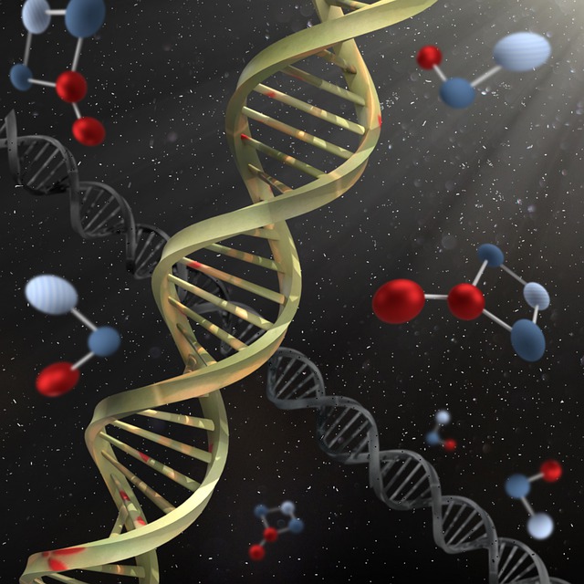 Epigenetic Alterations – Hallmark #5