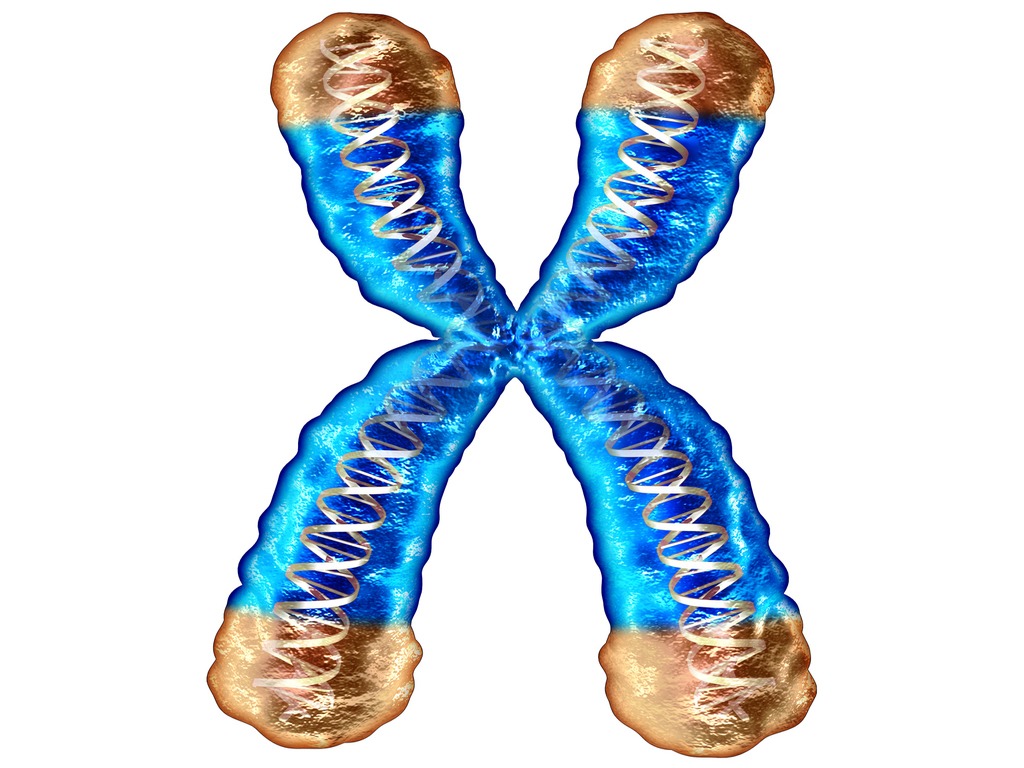 Step 2: Understand that your DNA is the key to a healthier and longer life