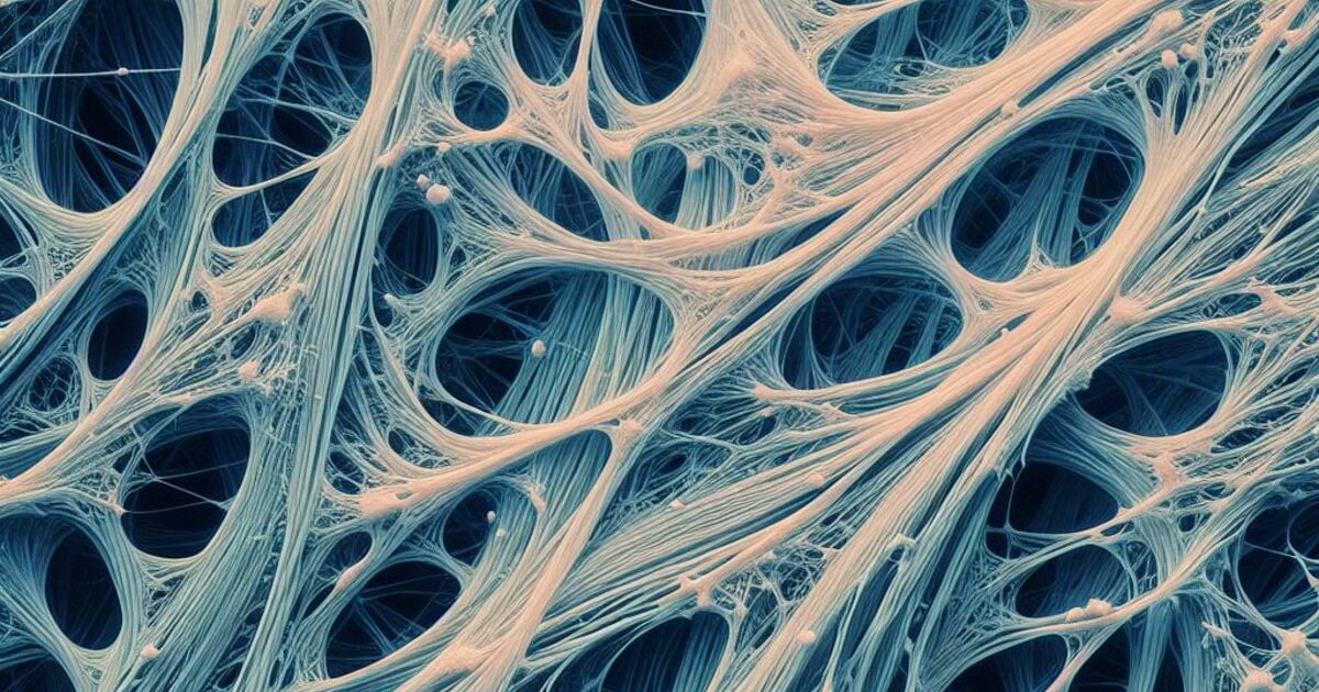 Collagen fibers 